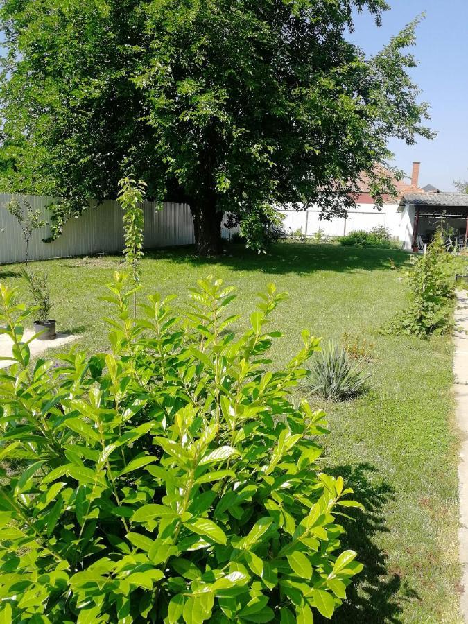 Zsuzsanna Vendeghaz Hotel Gyomaendrőd Eksteriør billede