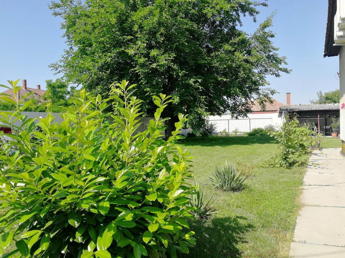Zsuzsanna Vendeghaz Hotel Gyomaendrőd Eksteriør billede